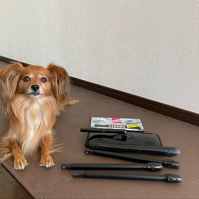 toratanさんの実例写真