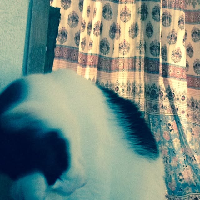 furararaさんの実例写真