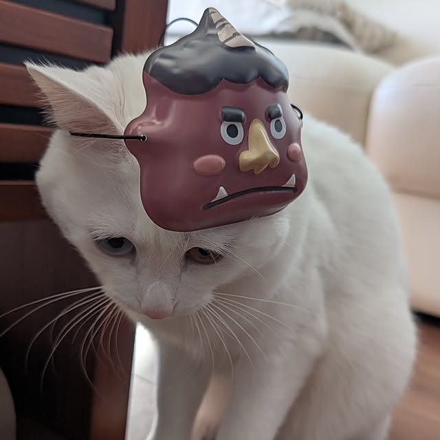 necoさんの部屋