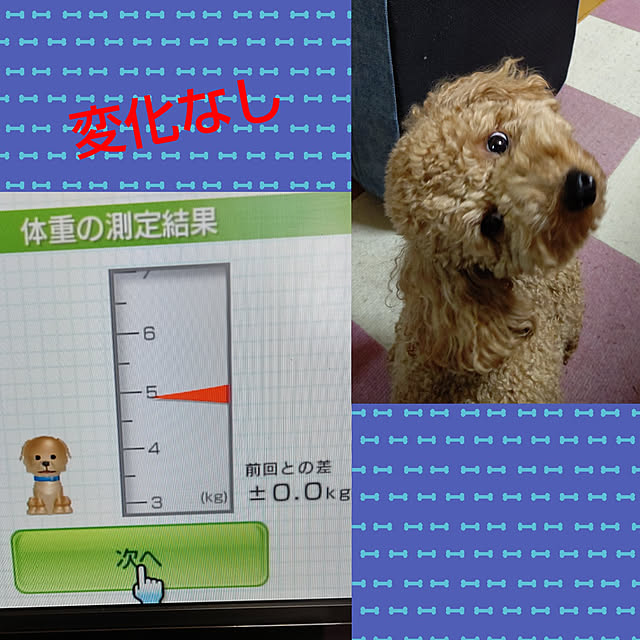 yumirinさんの実例写真