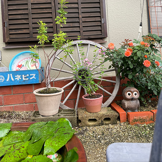 shin0719さんの実例写真