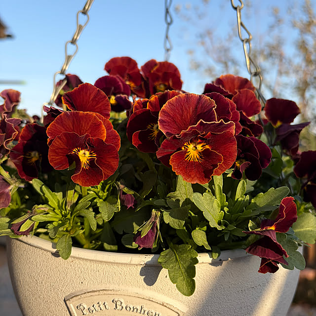 ronronさんの部屋