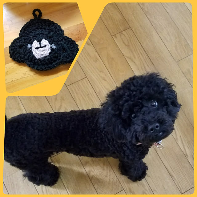 Kinanさんの実例写真
