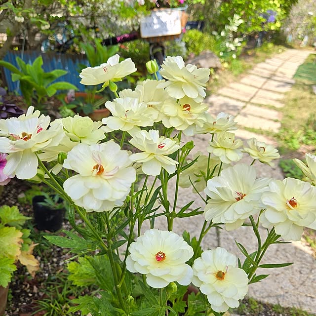 min_nimさんの部屋