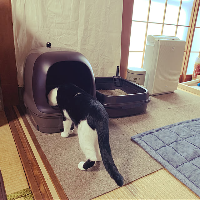 nanohanaさんの部屋