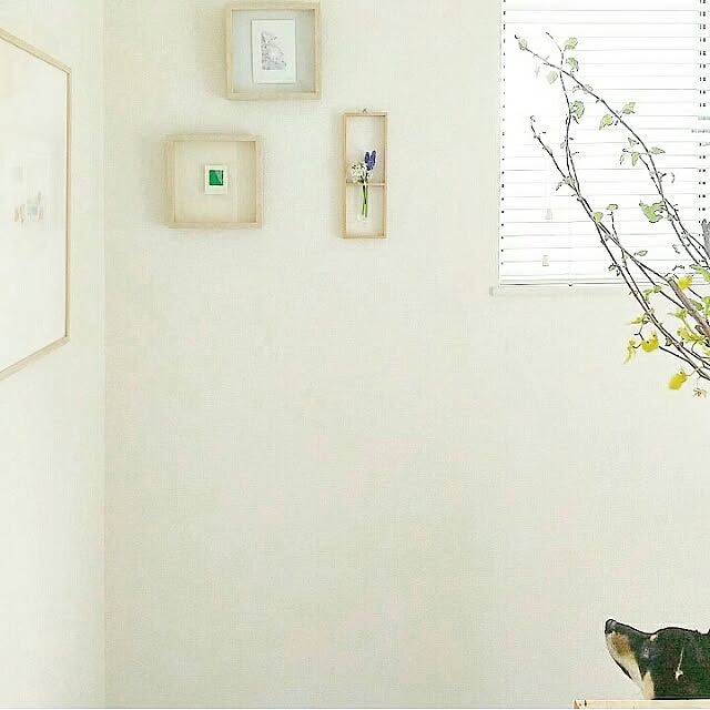 mayuさんの実例写真