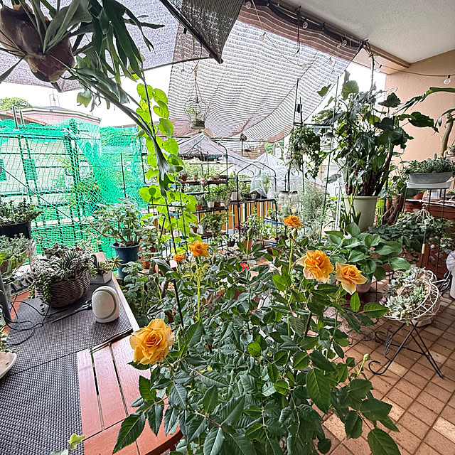Aqettyさんの部屋
