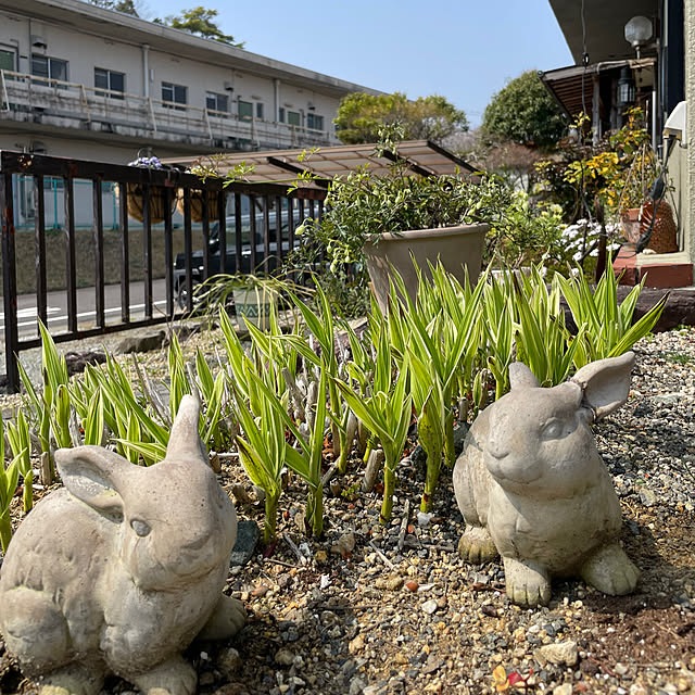 shin0719さんの実例写真