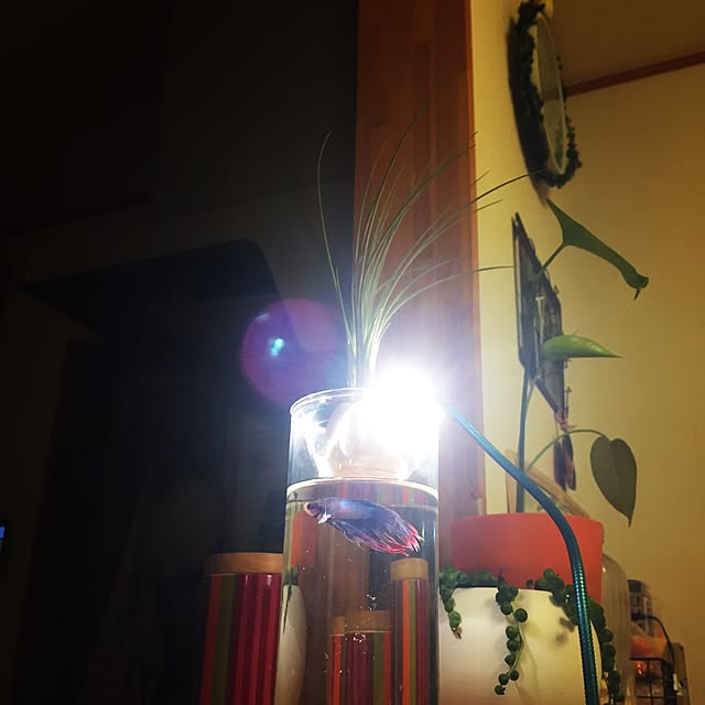 takayukiさんの実例写真
