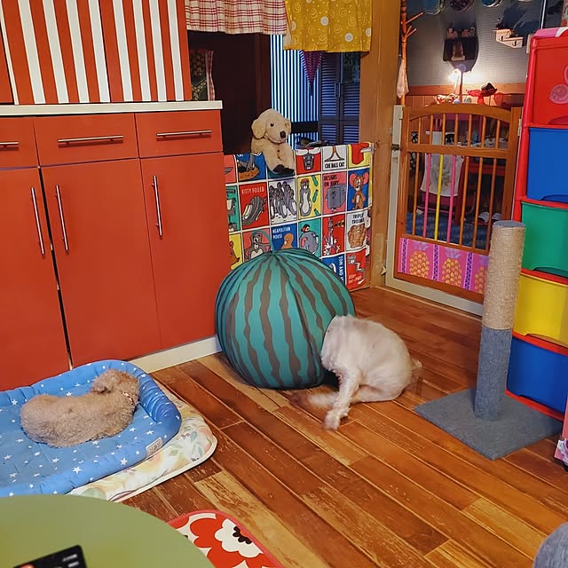 kumutanさんの実例写真