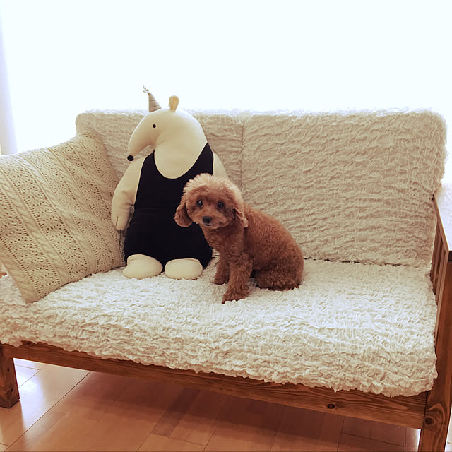 haru._.hanaさんの実例写真