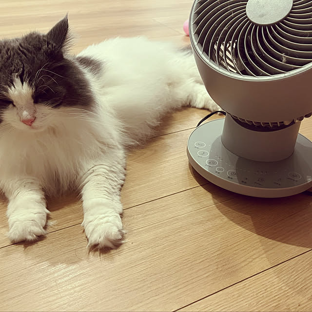 jubileeさんの実例写真