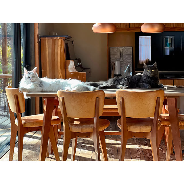 Kikko.さんの部屋