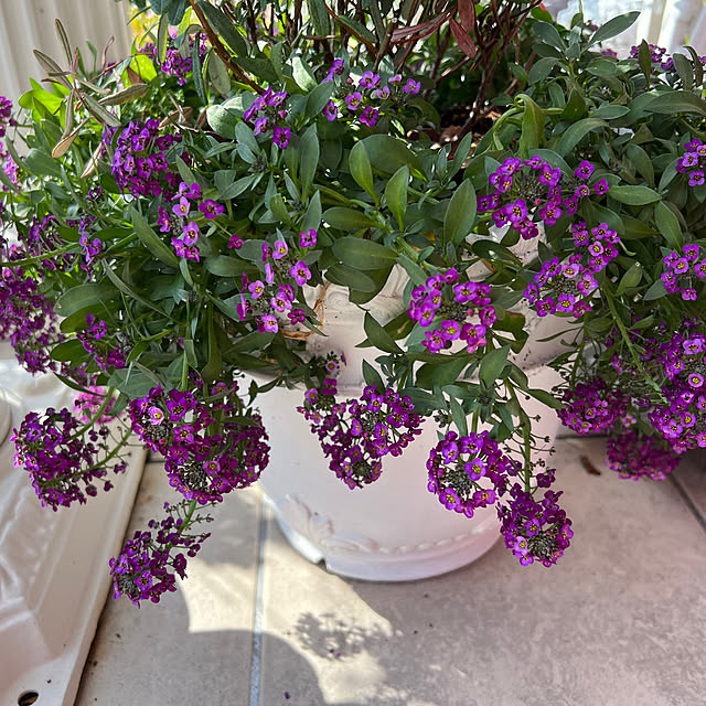 AYUKOさんの部屋