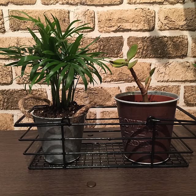 tsubasaさんの実例写真