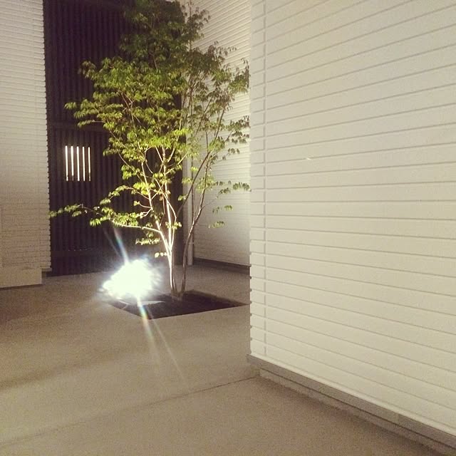 uenozoo_yさんの実例写真