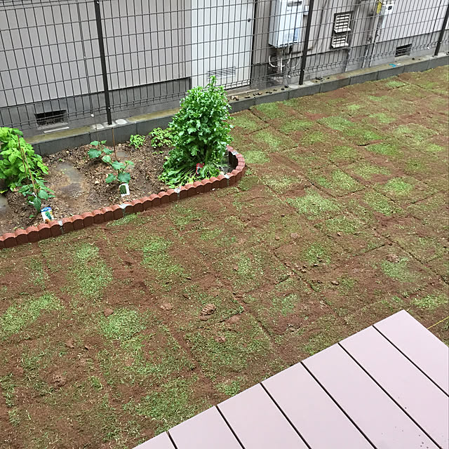 masaさんの実例写真