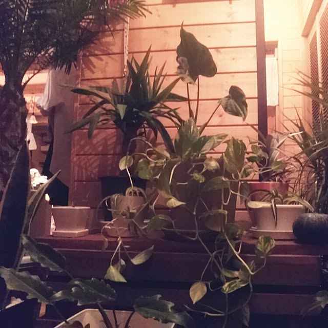 boomerさんの実例写真