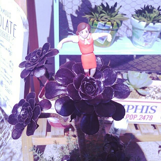 akr29さんの実例写真