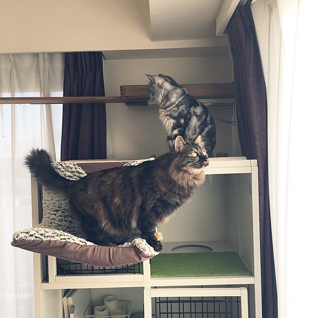 mikomaruさんの実例写真