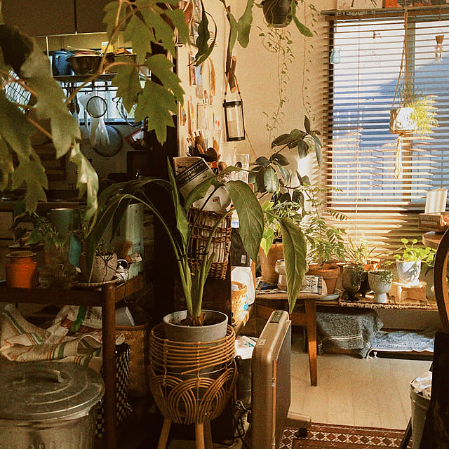 yukiatarIさんの部屋