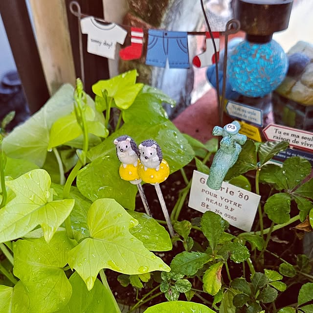 mocomocoさんの部屋