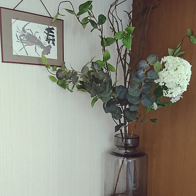壁/天井/観葉植物のインテリア実例 - 2019-02-28 23:33:29