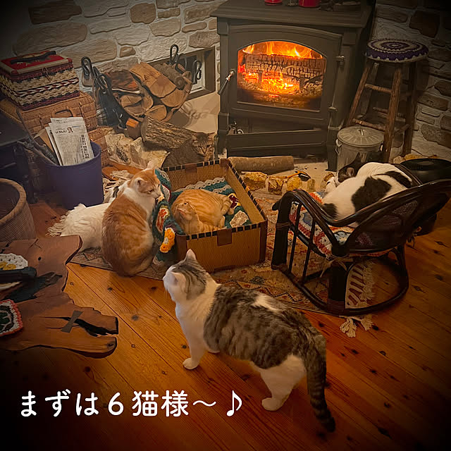 marusanさんの実例写真