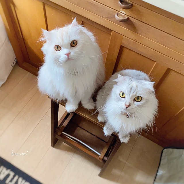 luna.comさんの実例写真