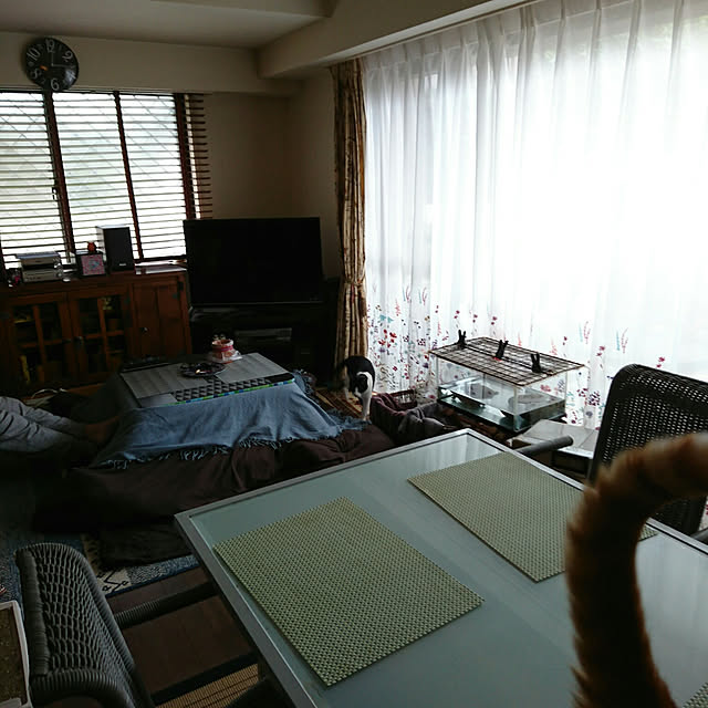 okyosan101さんの実例写真