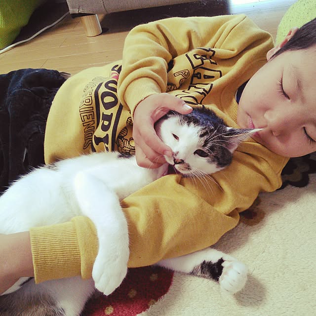 pouさんの実例写真