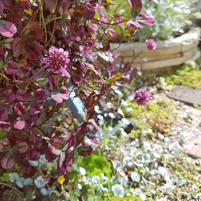 325unさんの実例写真