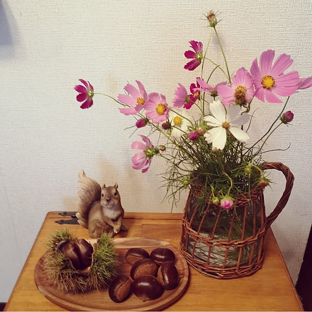 ku-garnet18さんの実例写真