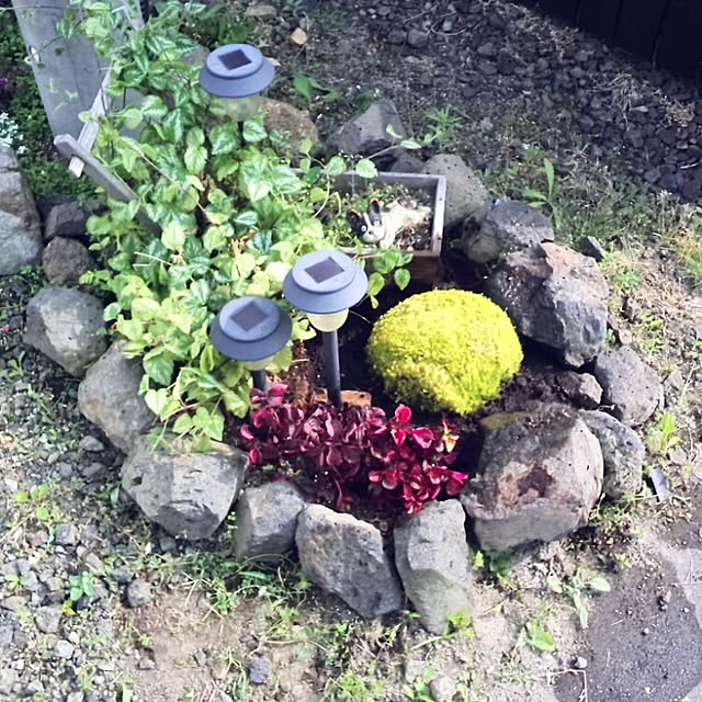 take-yuriさんの実例写真