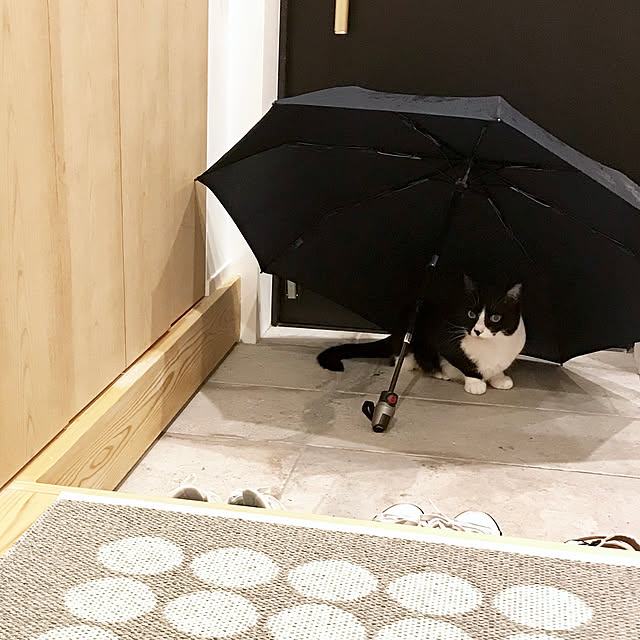pooさんの実例写真