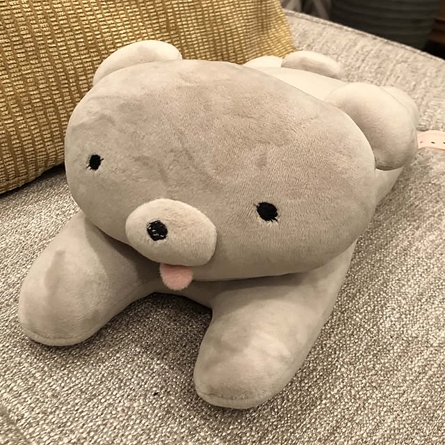 TBS_SP_Dramaさんの実例写真