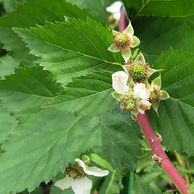 mutsuさんの部屋