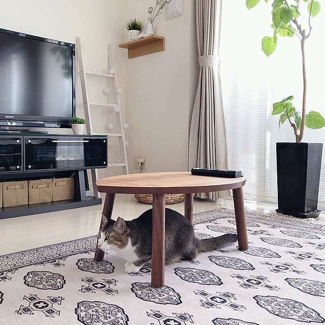 nekomiさんの実例写真