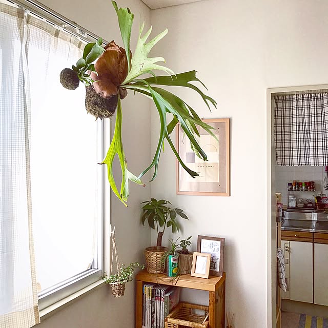 uepさんの実例写真