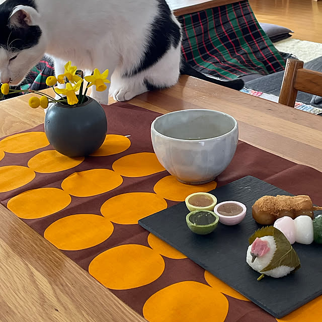 nobikoさんの部屋