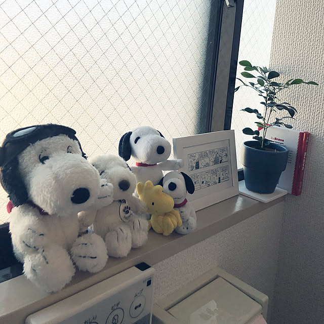 Manamiさんの実例写真