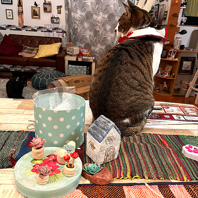 jijiさんの実例写真
