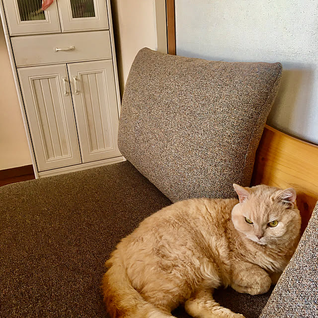 naokoさんの部屋