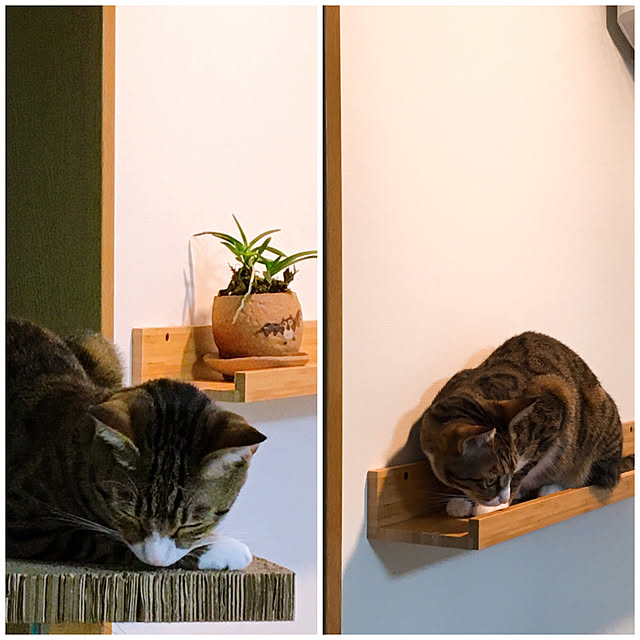 nobikoさんの実例写真