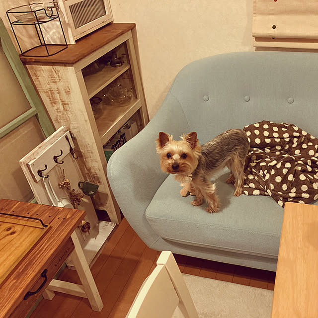 mayuoさんの実例写真