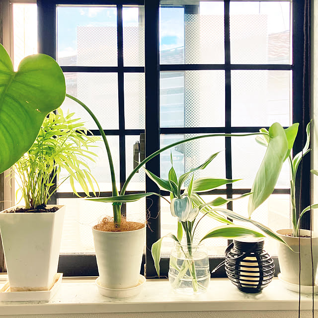 MOMOMAMAさんの部屋