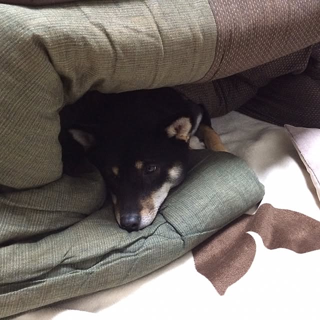 02564さんの実例写真