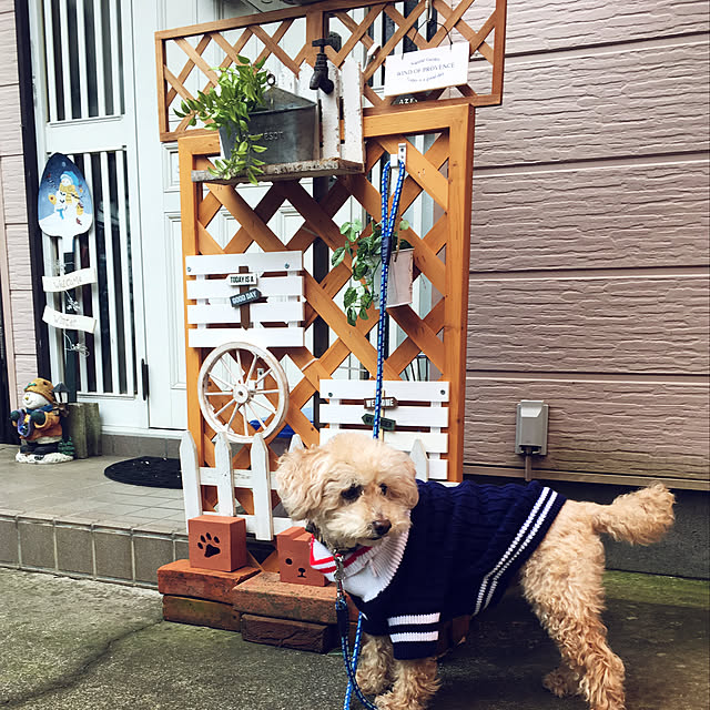 yukarimamaさんの実例写真
