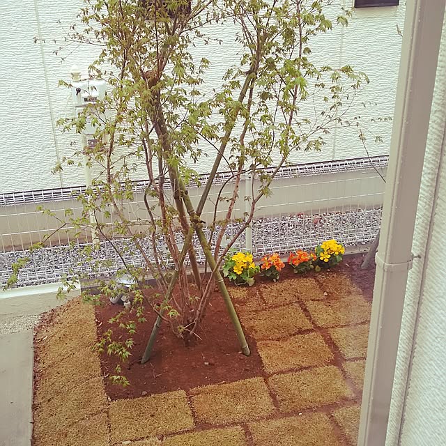 ym3さんの実例写真