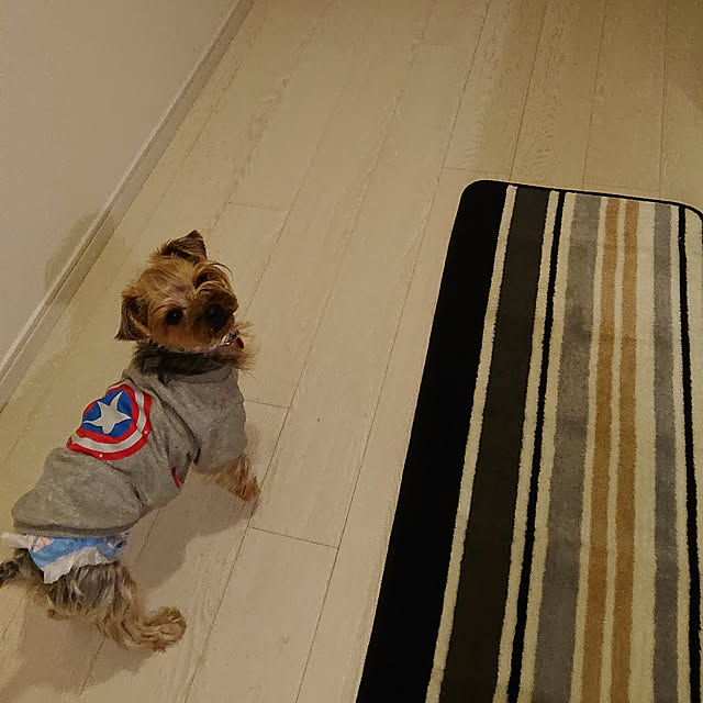 captainfunkさんの実例写真